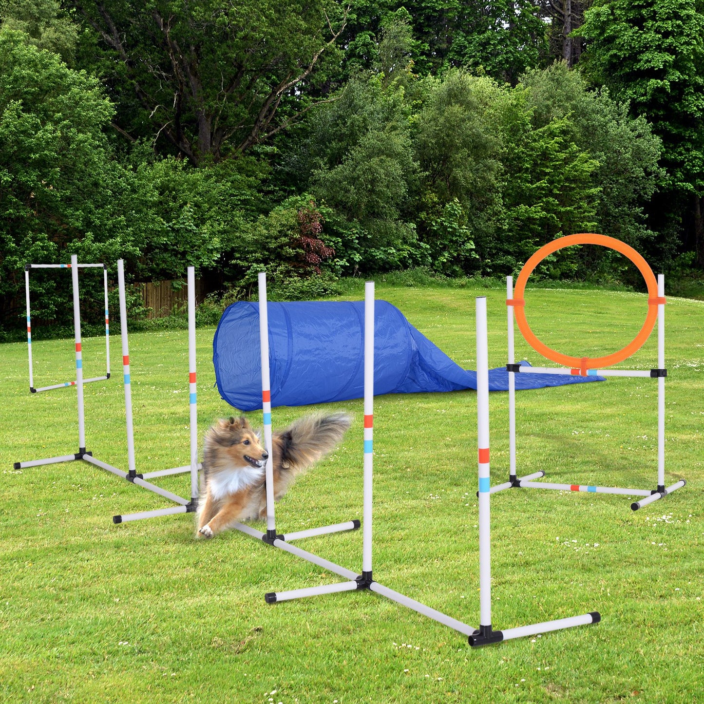 Pawhut 5 Piece Outdoor Game Dog Agility Training Equipment Set Agility Starter Kit Jumping Ring Hurdle Bar Tunnel | Aosom Canada