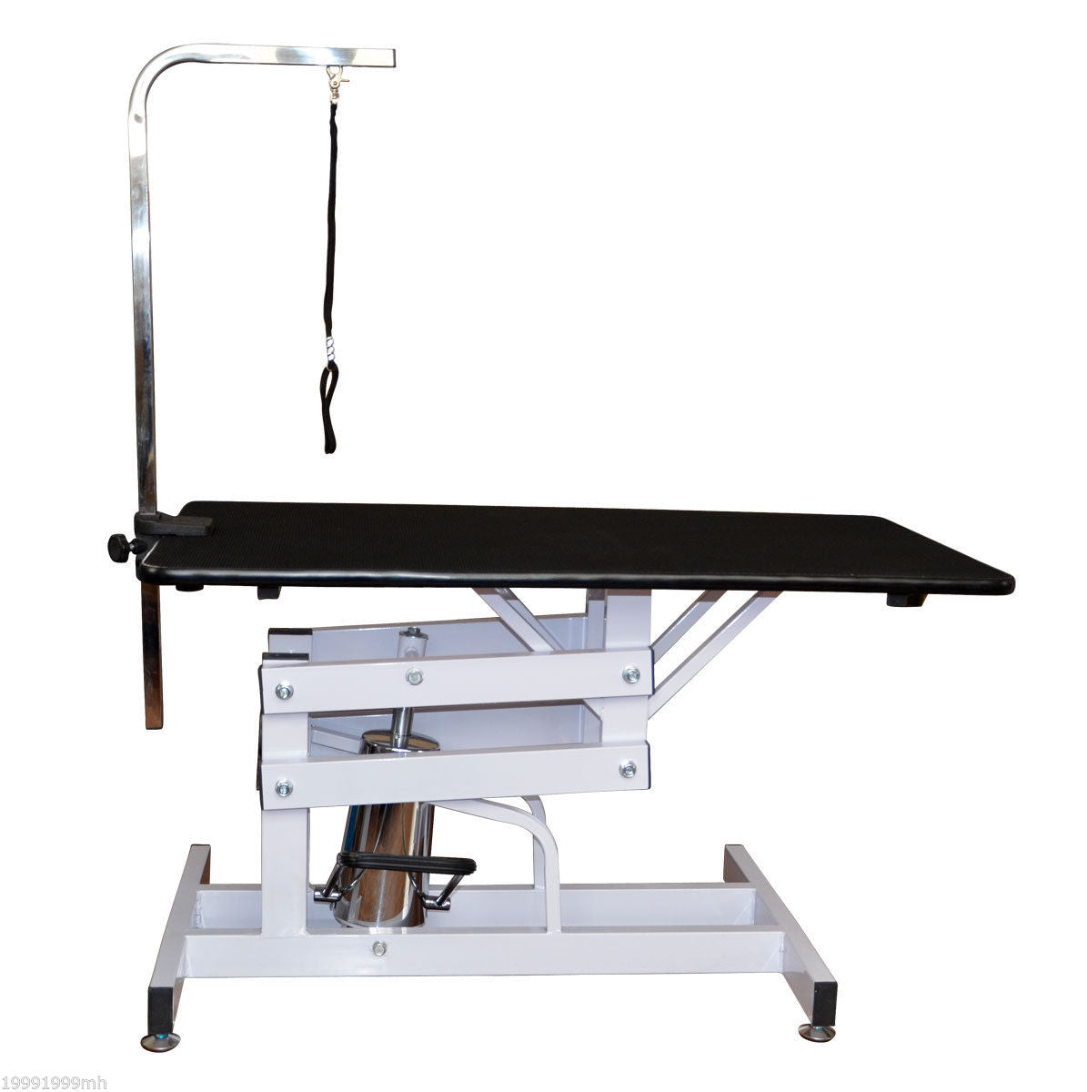 PawHut Deluxe Professional Grooming Table Noose Z-Lift Hydraulic Pet Dog w/ Arm | Aosom Canada