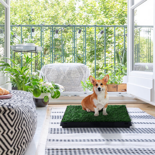PawHut Dog Toilet Pet Mat Tray 2 Layers Indoor Puppy Potty Trainer Artificial Grass | Aosom Canada