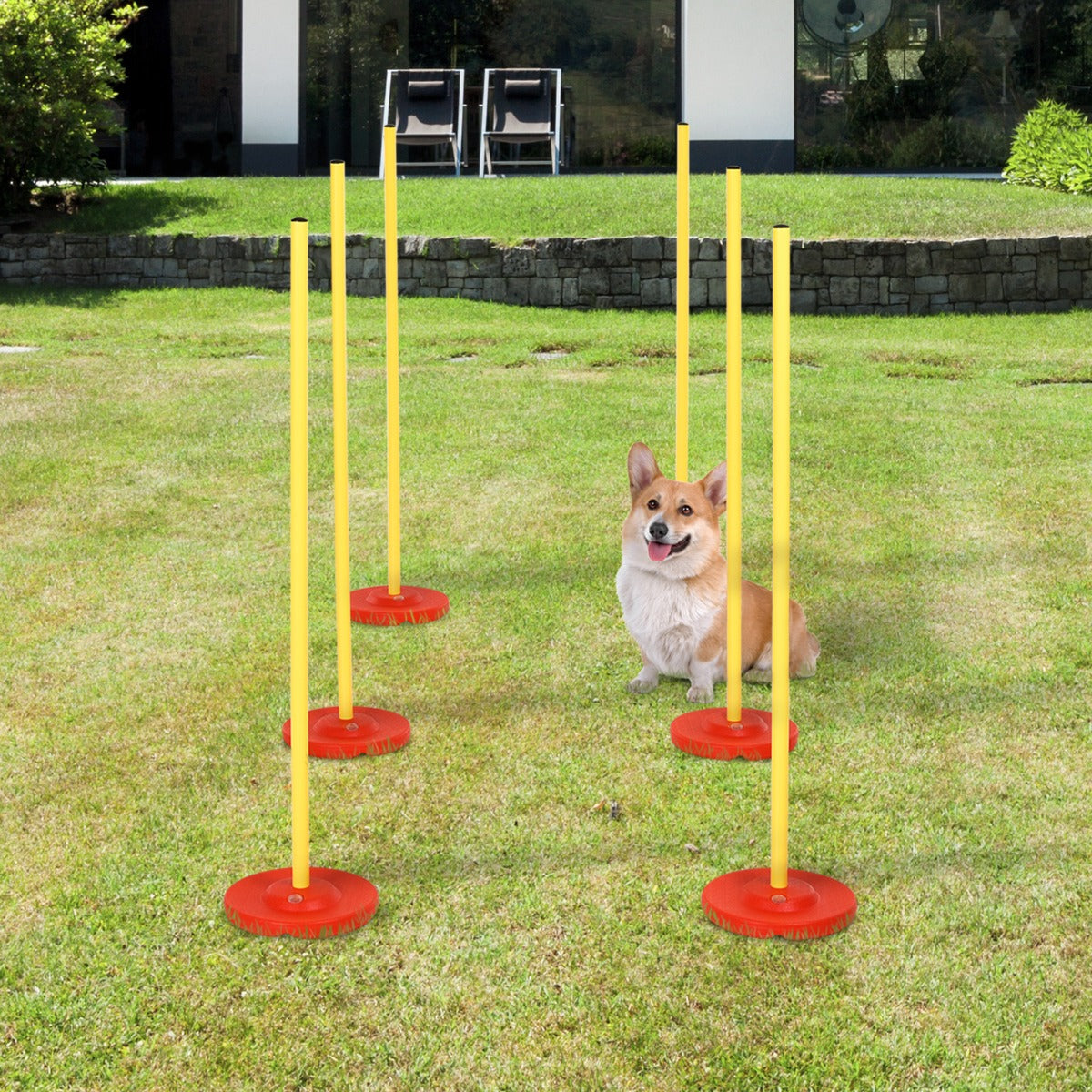 Pet Training Equipment Pet Agility Equipment Yellow 9"W x 39.25"H ABS PE Polyester PawHut | Aosom Canada