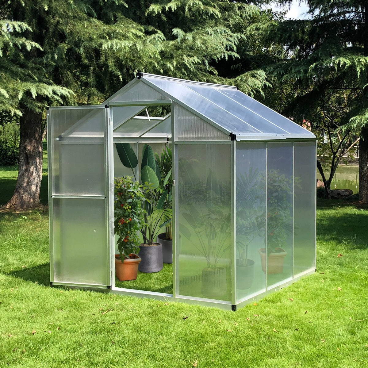 Outsunny 6' x 6' x 6.4' Walk-in Garden Greenhouse Polycarbonate Panels Plants Flower Growth Shed Cold Frame | Aosom Canada