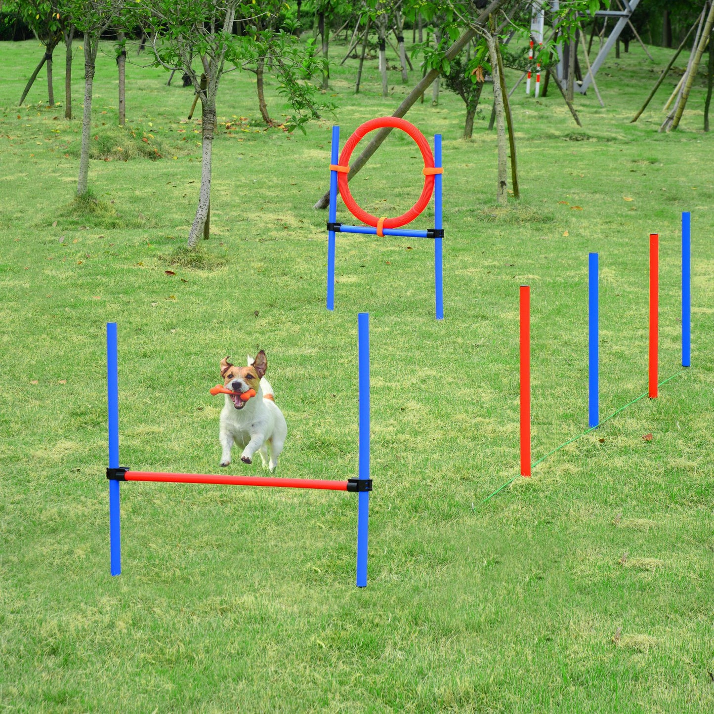 PawHut Dog Pet Agility Training Kit High Jump Weave Pole Ring Obedience Training Set Adjustable Equipment Portable | Aosom Canada