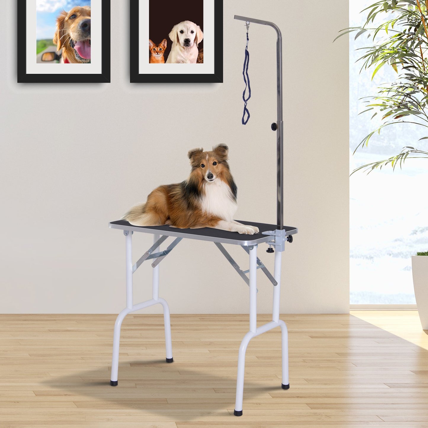 PawHut grooming table Heavy Duty Foldable Dog Grooming Table w/ Adjustable Arm | Aosom Canada