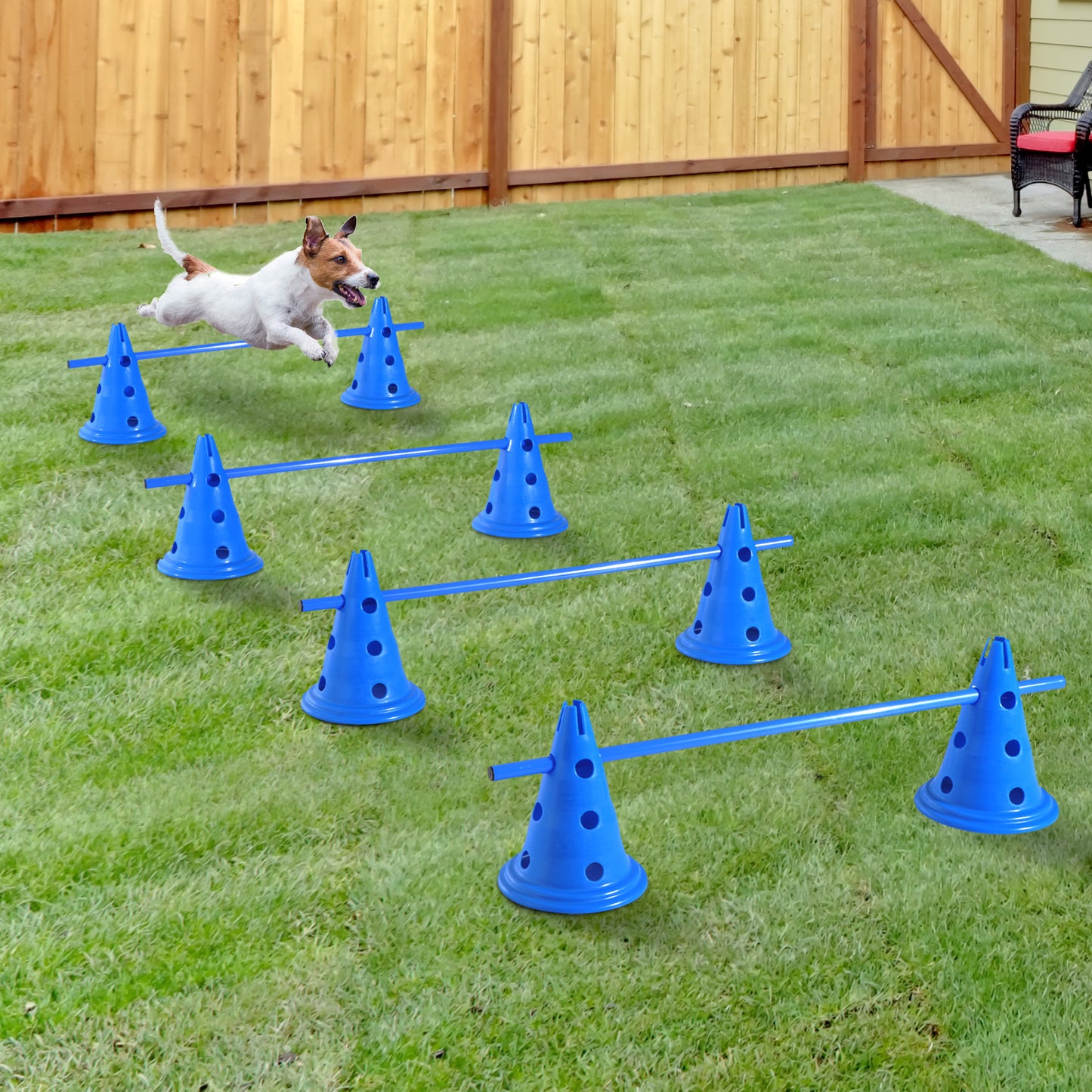 PawHut dog agility training Equipment Set of 4 Starter and 8 Hurdles Kit w/ carrying bag Blue | Aosom Canada