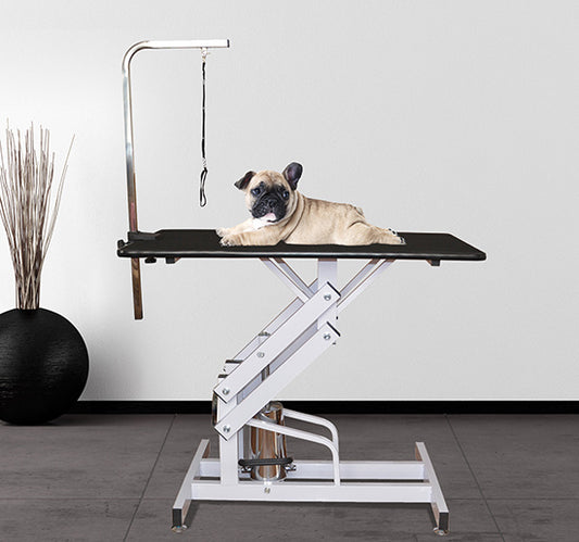 PawHut Deluxe Professional Z-Lift Hydraulic Pet Dog Grooming Table w/ Arm Noose | Aosom Canada