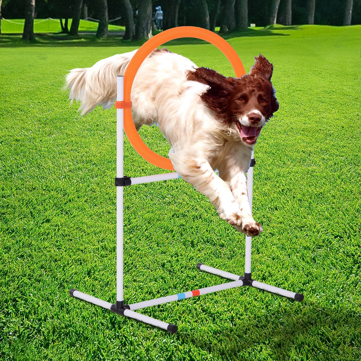 PawHut 2-in-1 Dog Obstacle Training Agility Equipment Tire Jump Ring/Hurdle Bar with a Simple & Easy Setup & Storage Bag | Aosom Canada