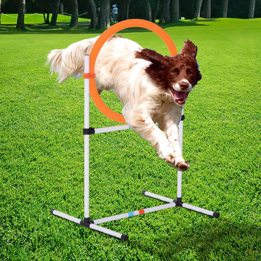 PawHut 2-in-1 Dog Obstacle Training Agility Equipment Tire Jump Ring/Hurdle Bar with a Simple & Easy Setup & Storage Bag | Aosom Canada