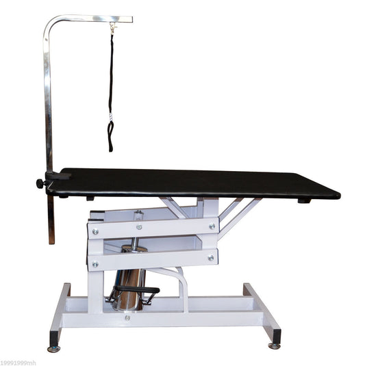 PawHut Deluxe Professional Grooming Table Noose Z-Lift Hydraulic Pet Dog w/ Arm | Aosom Canada
