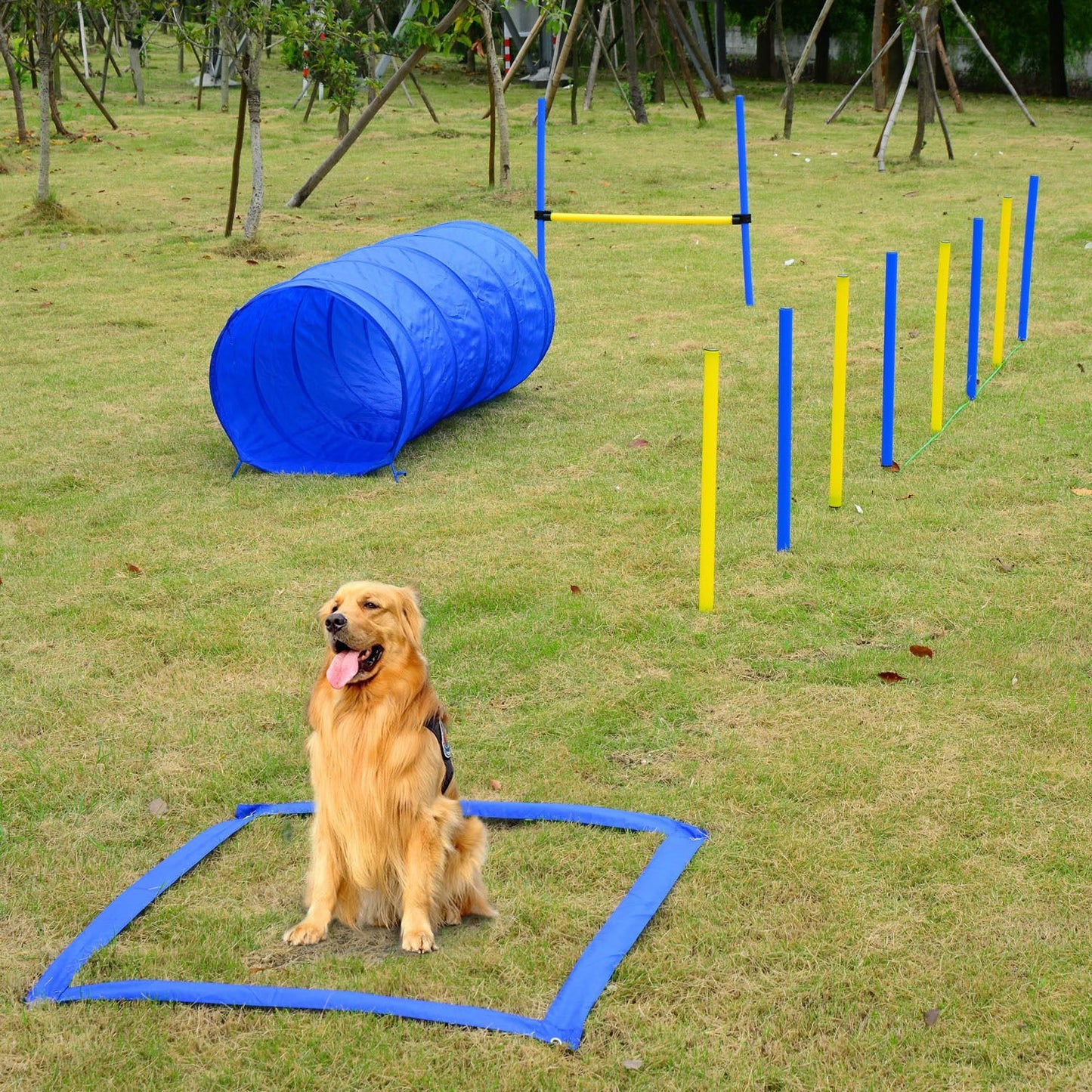 PawHut Dog Agility Starter Kit Pet Outdoor Exercise Training Set Tunnel Weave Pole High Jumper | Aosom Canada