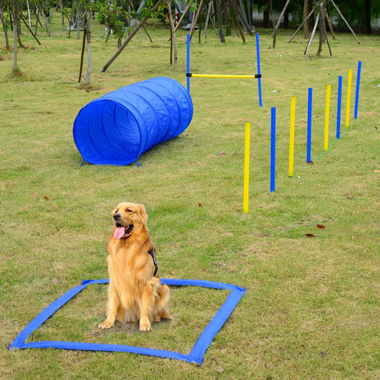 PawHut Dog Agility Starter Kit Pet Outdoor Exercise Training Set Tunnel Weave Pole High Jumper | Aosom Canada