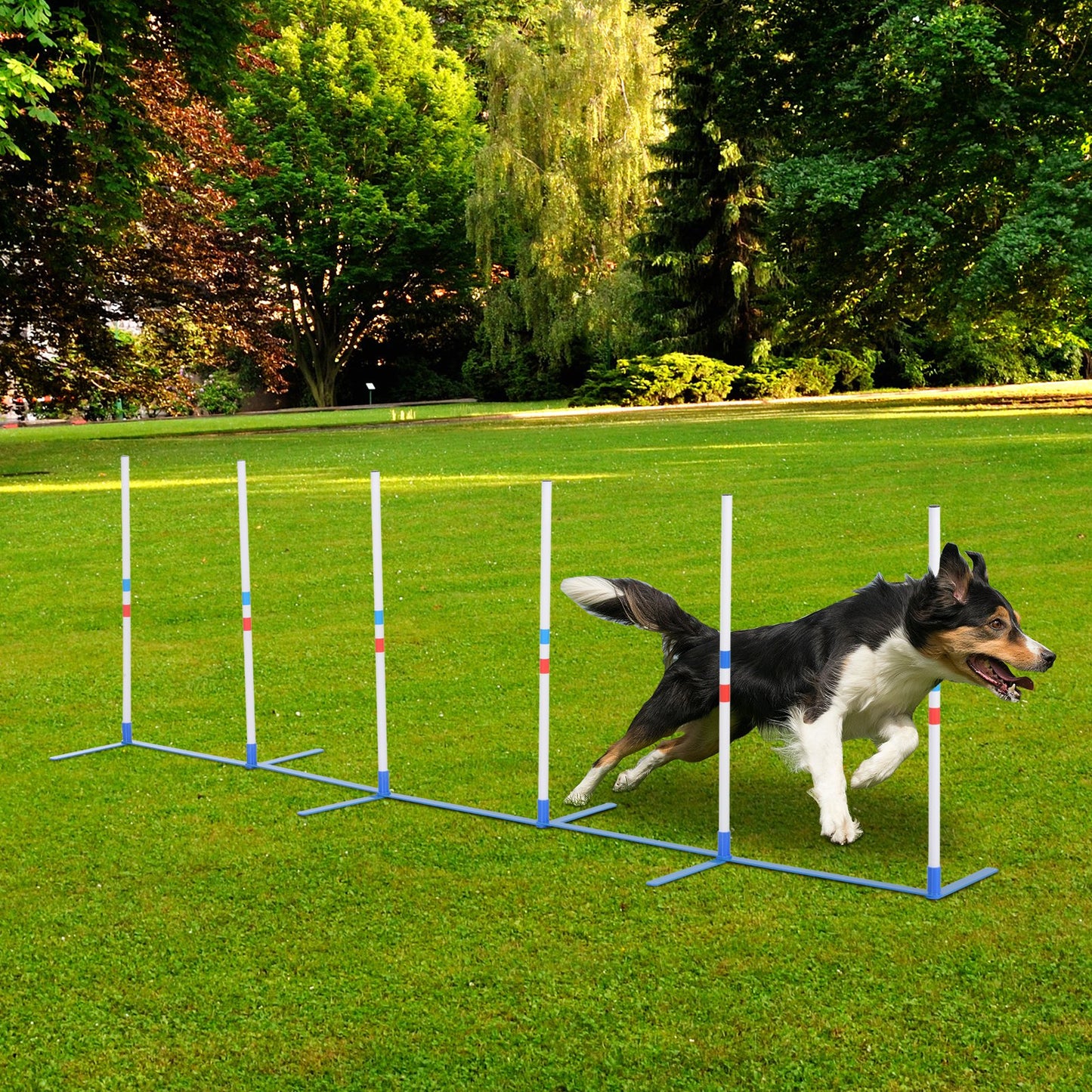 PawHut Adjustable Dog Agility Training Obstacle Set with Weaves Poles and Storage Bag for Pet Dogs Outdoor Games Exercise | Aosom Canada