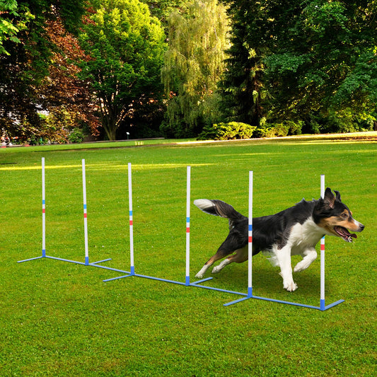 PawHut Adjustable Dog Agility Training Obstacle Set with Weaves Poles and Storage Bag for Pet Dogs Outdoor Games Exercise | Aosom Canada