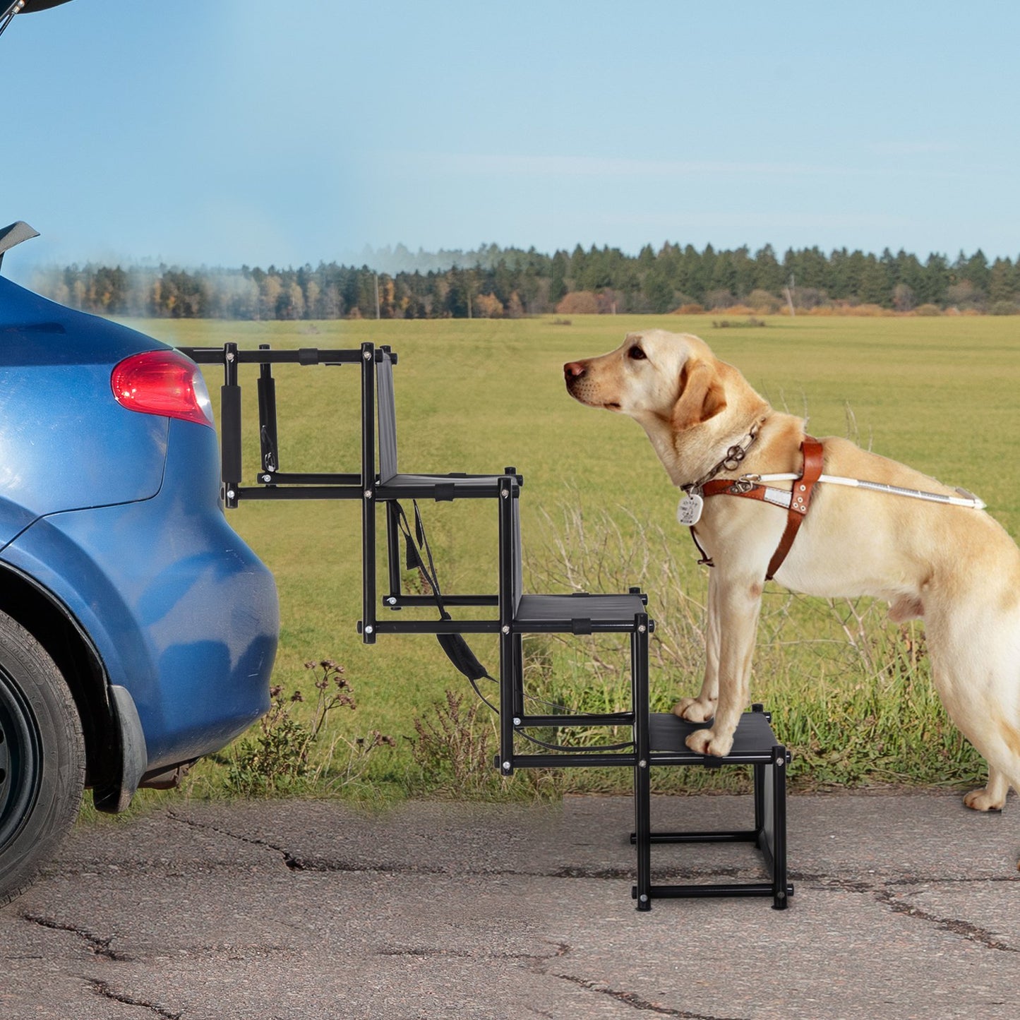 PawHut 4 Step Foldable Portable Pet Stairs Ramp Compact and Lightweight Nonslip Oxford Waterproof includes safety tether Black | Aosom Canada