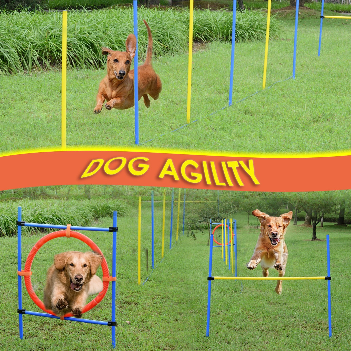 PawHut dog obstacle course Agility Training Kit High Jump Weave Pole Ring Obedience Equipment Portable | Aosom Canada