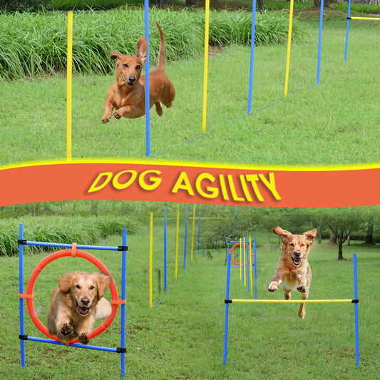 PawHut dog obstacle course Agility Training Kit High Jump Weave Pole Ring Obedience Equipment Portable | Aosom Canada